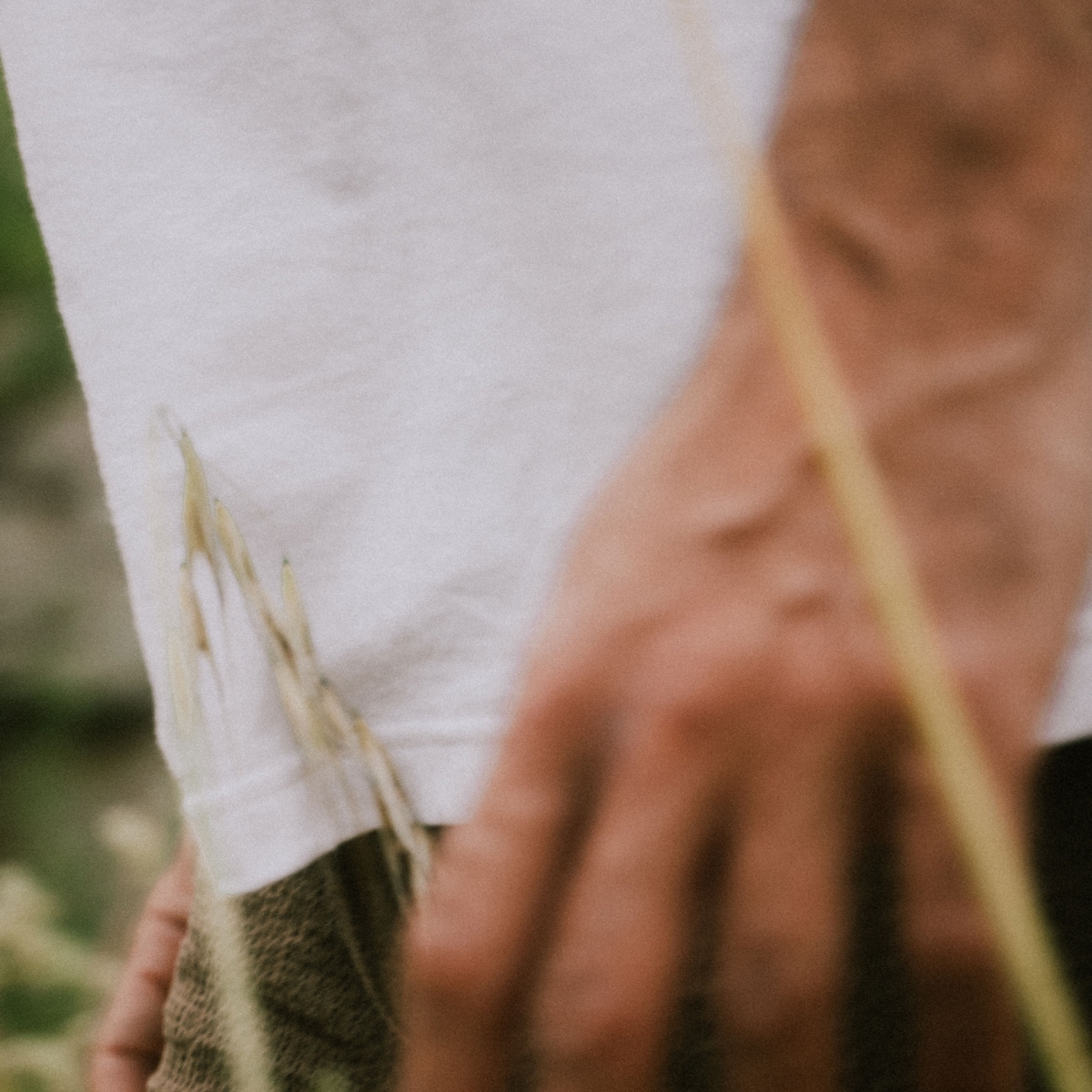 Das MWC Baumwoll Hanf T Shirt - Weiß (image n°6)