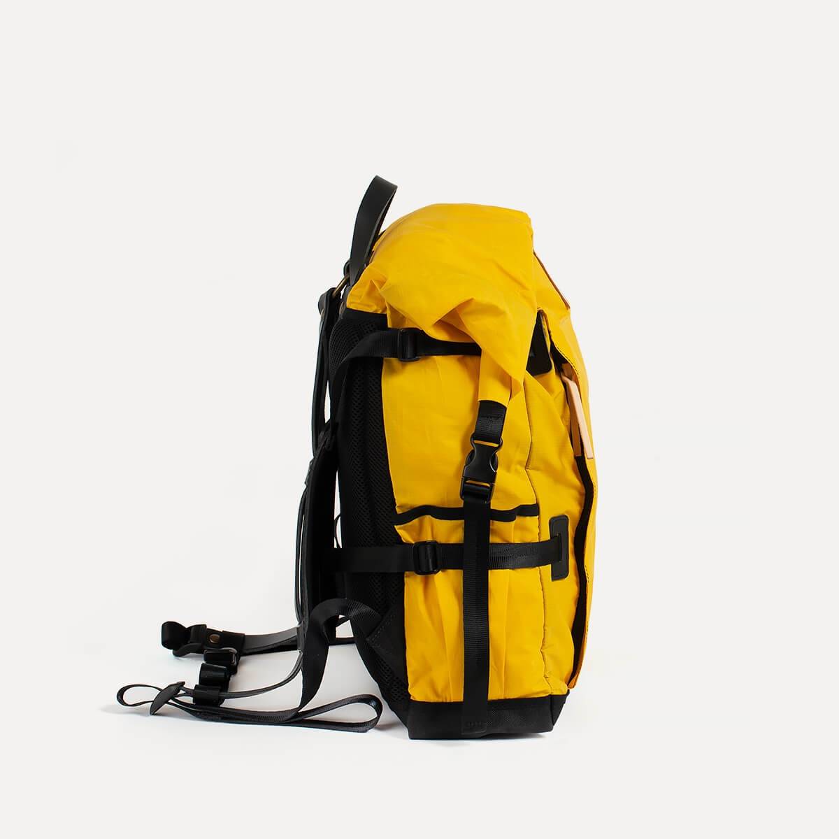 20L Basile Backpack - Sun Yellow (image n°3)